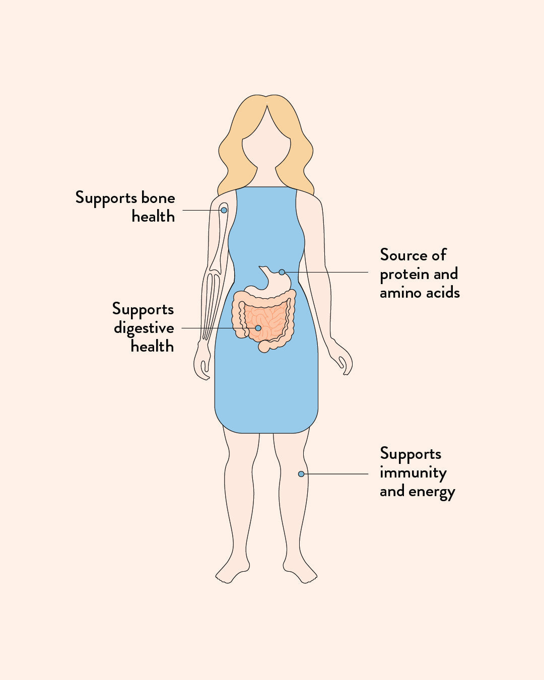Illustration of a person with labeled body parts highlighting the importance of protein and amino acids.