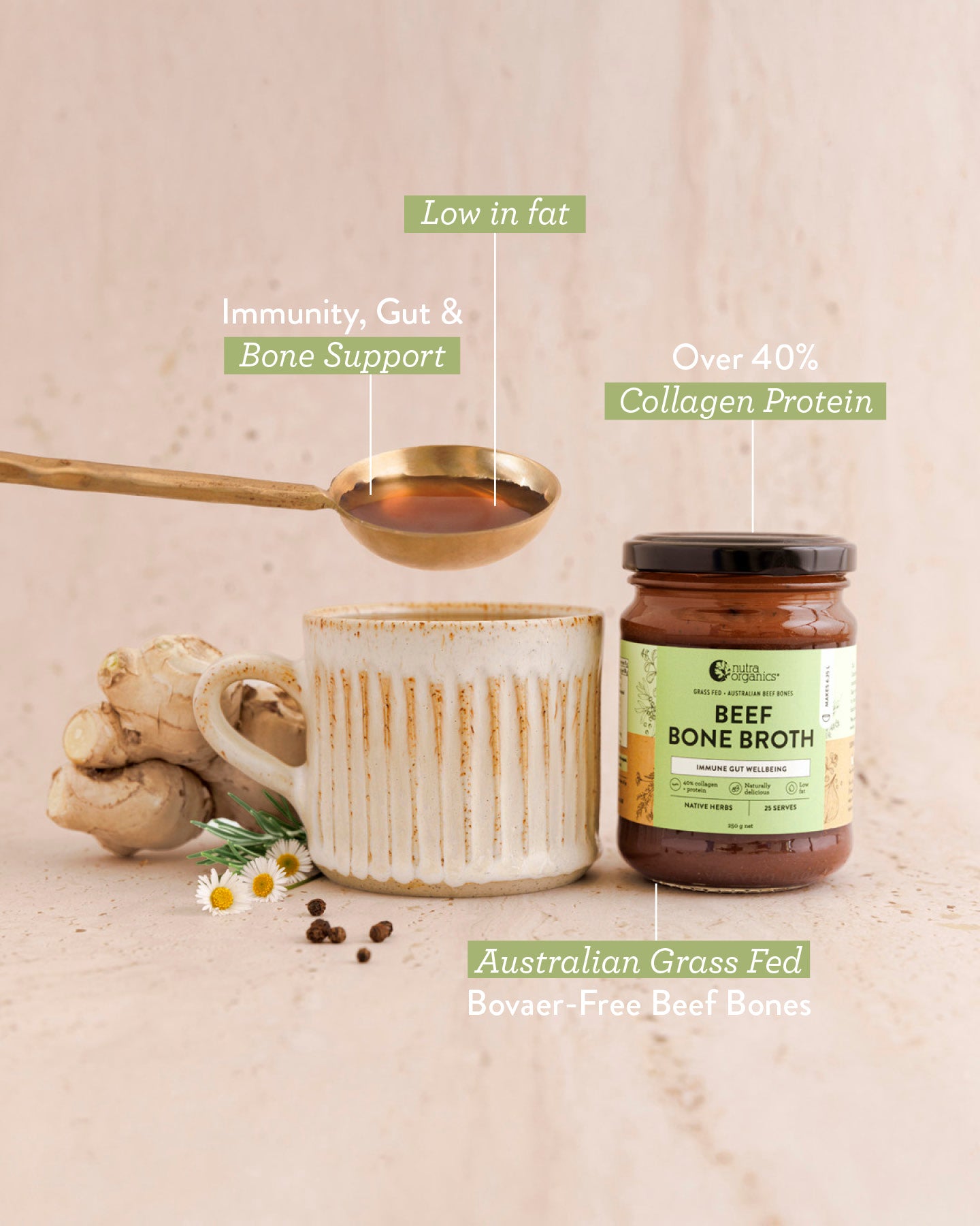 Beef Bone Broth Concentrate Native Herbs