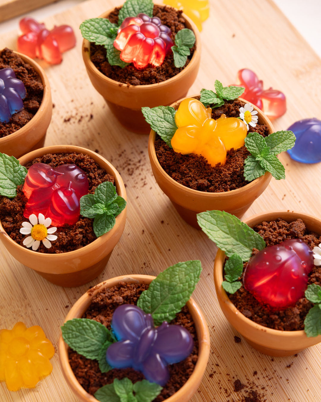 Limited Edition Garden Gang Gummies Bundle