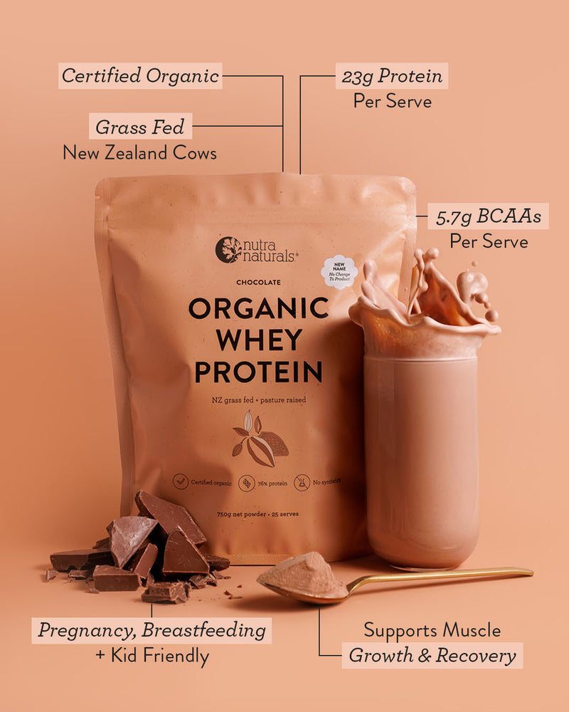 Organic Whey Protein Chocolate