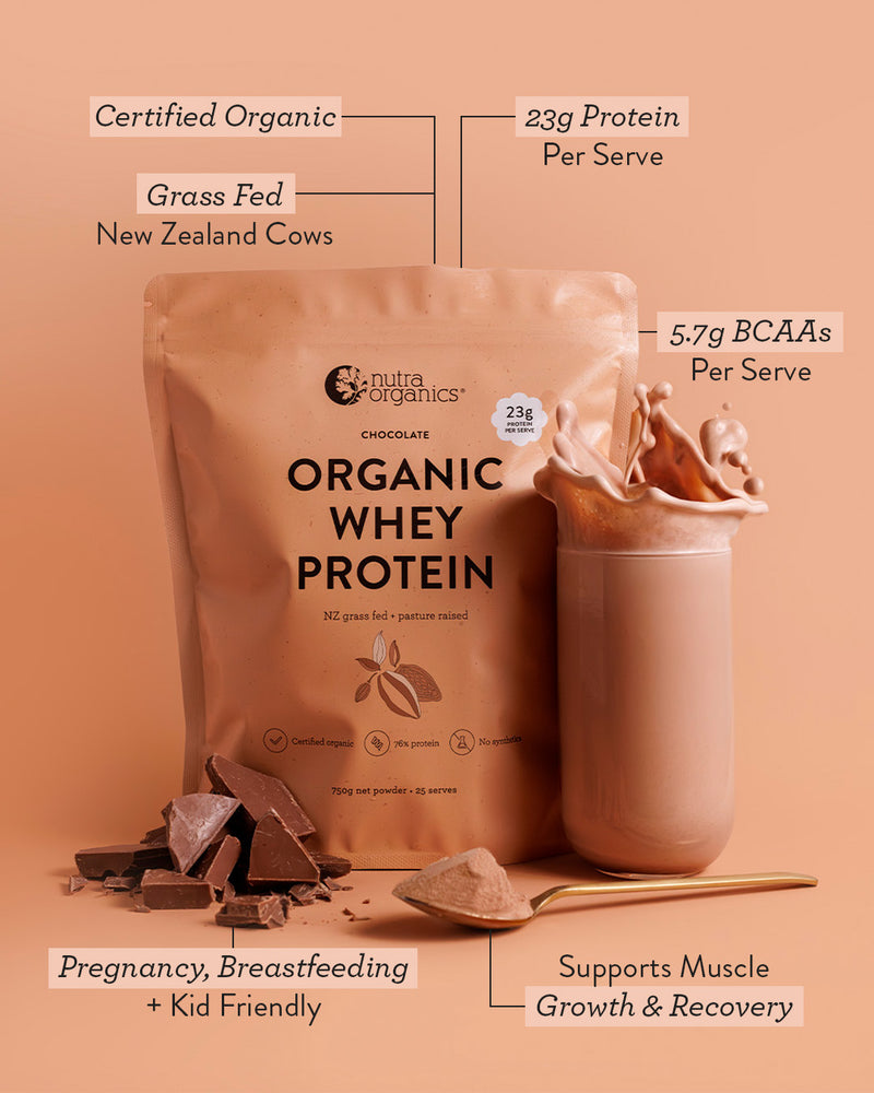 Organic Whey Protein Chocolate