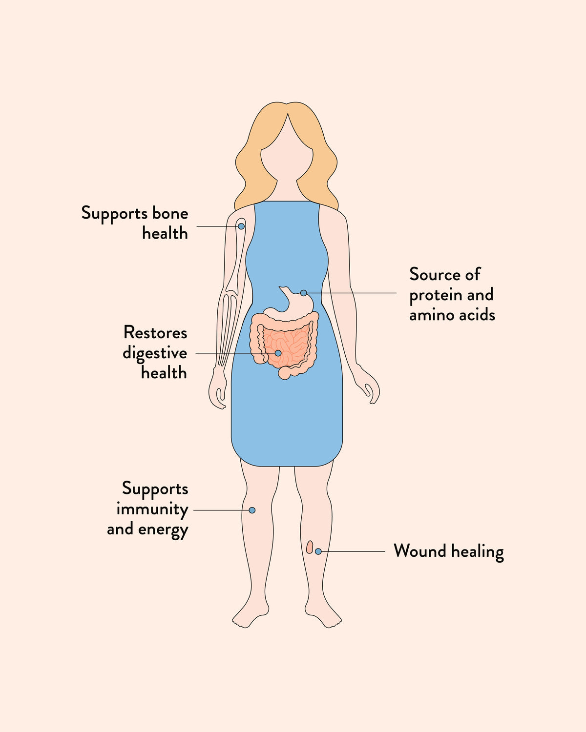 Beef Bone Broth Hearty Original Infographics