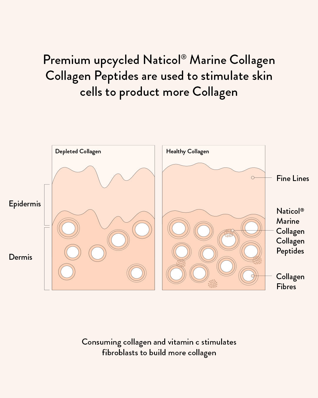 Marine Collagen Beauty