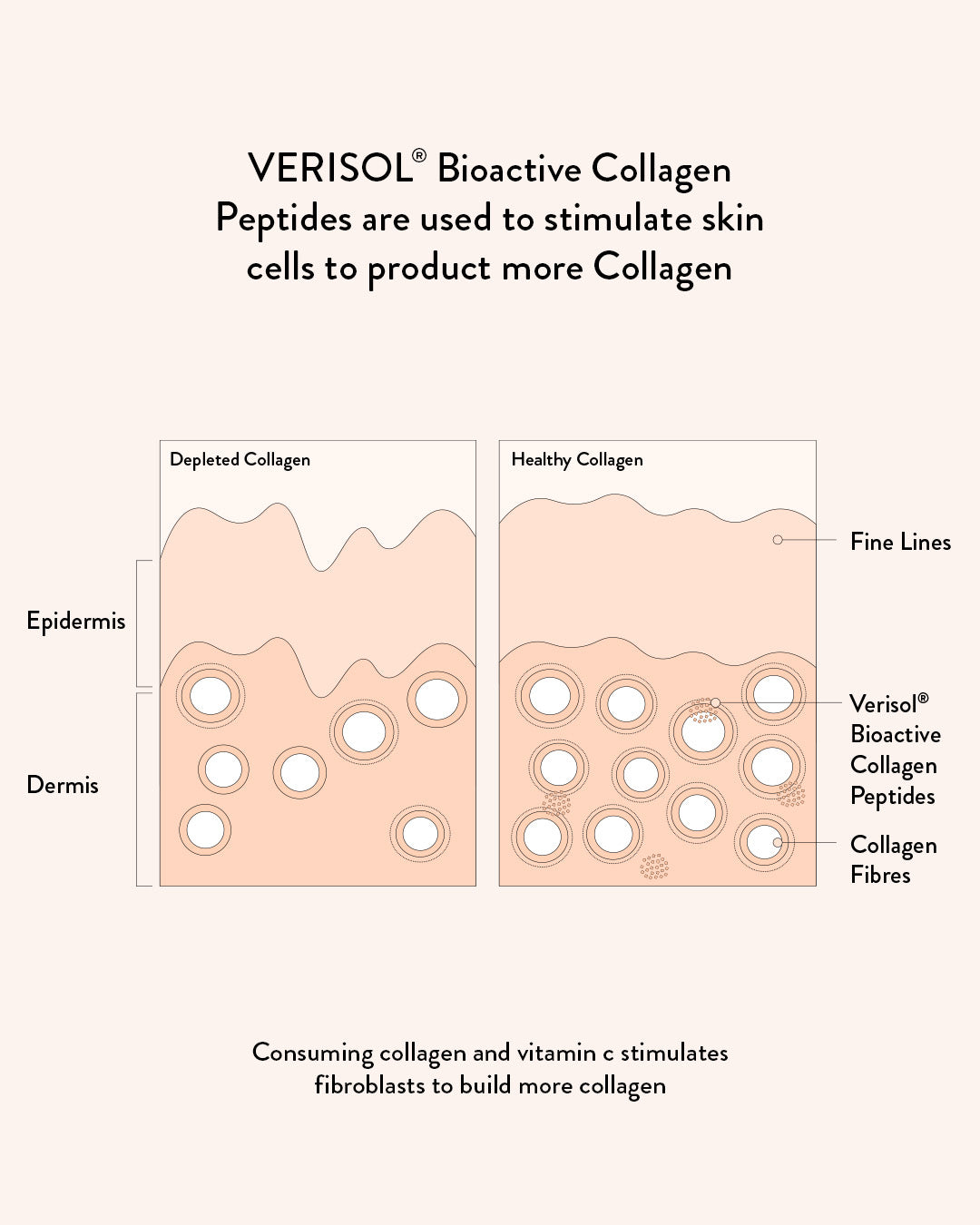 Collagen Beauty Vanilla
